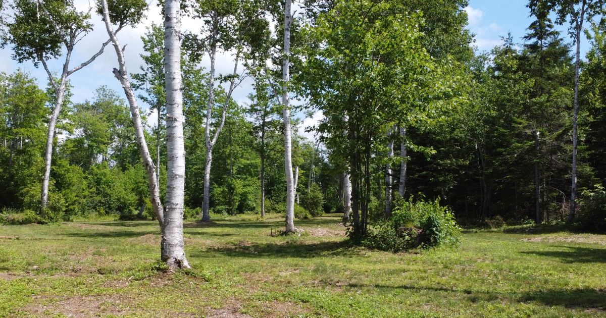 Hole 10 - fairway from red tee.