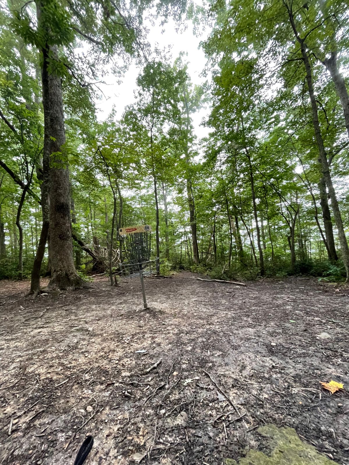 Hole 4