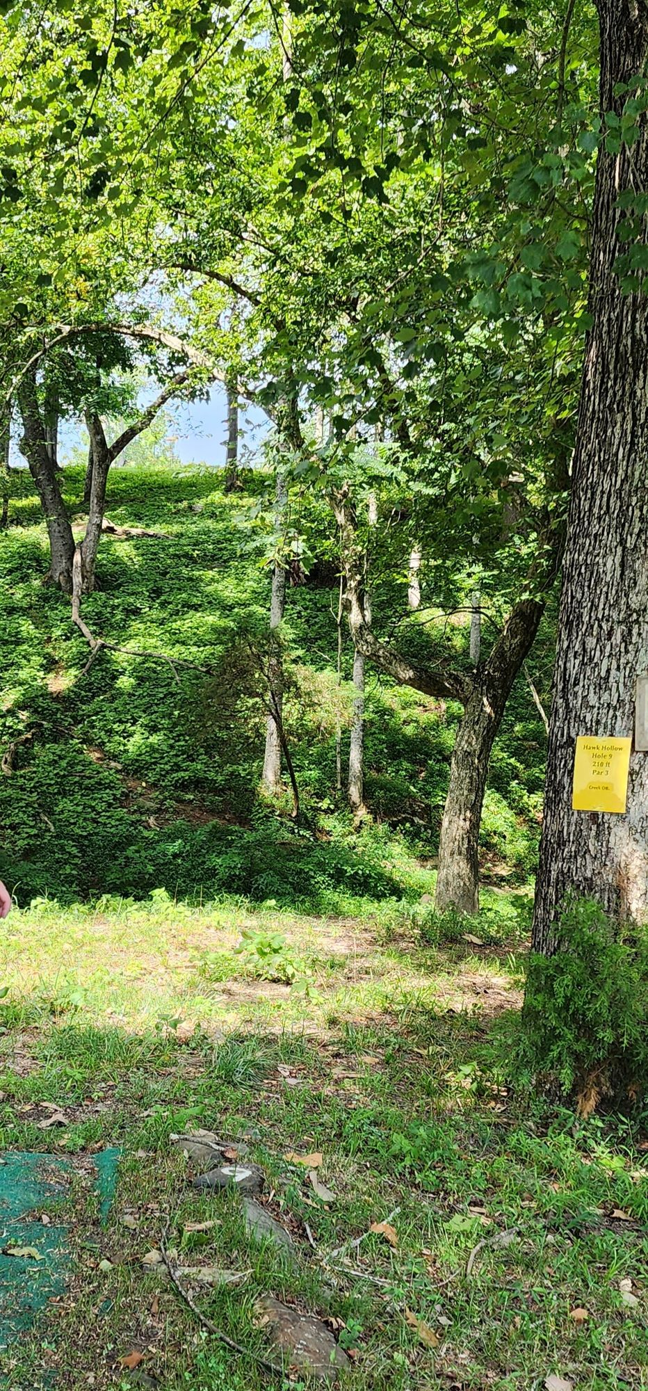 Hole 9 straight up steep hill