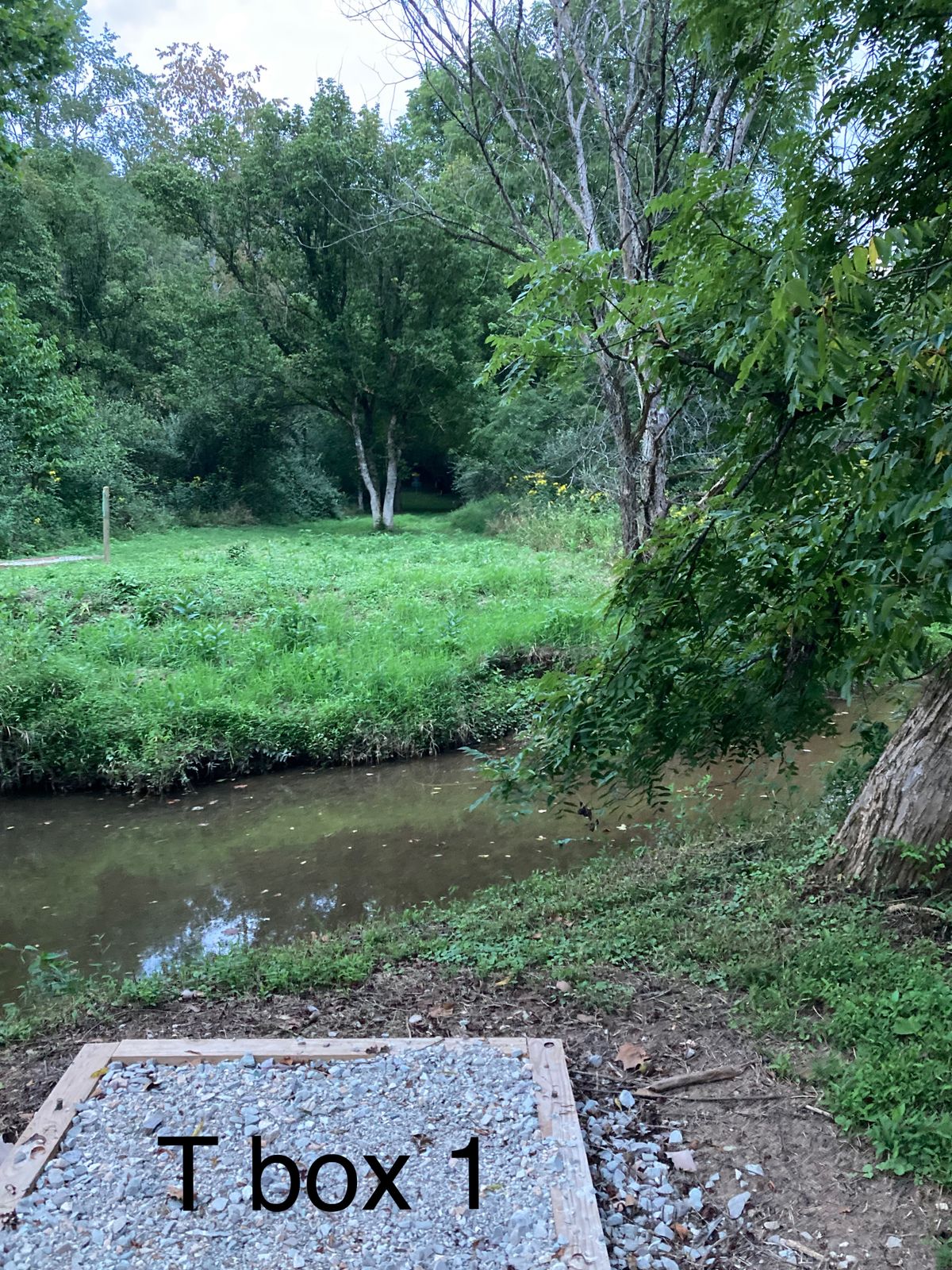 Hole 15