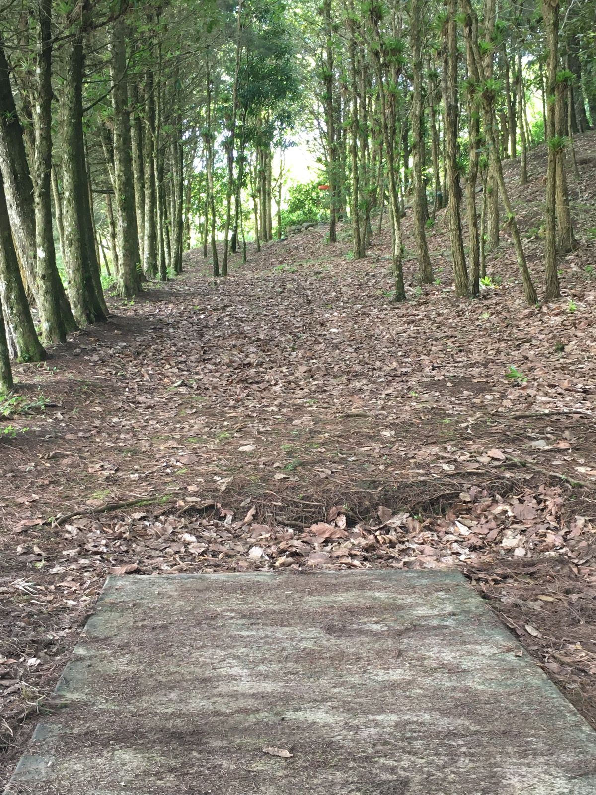 Hole 1 Long Tee