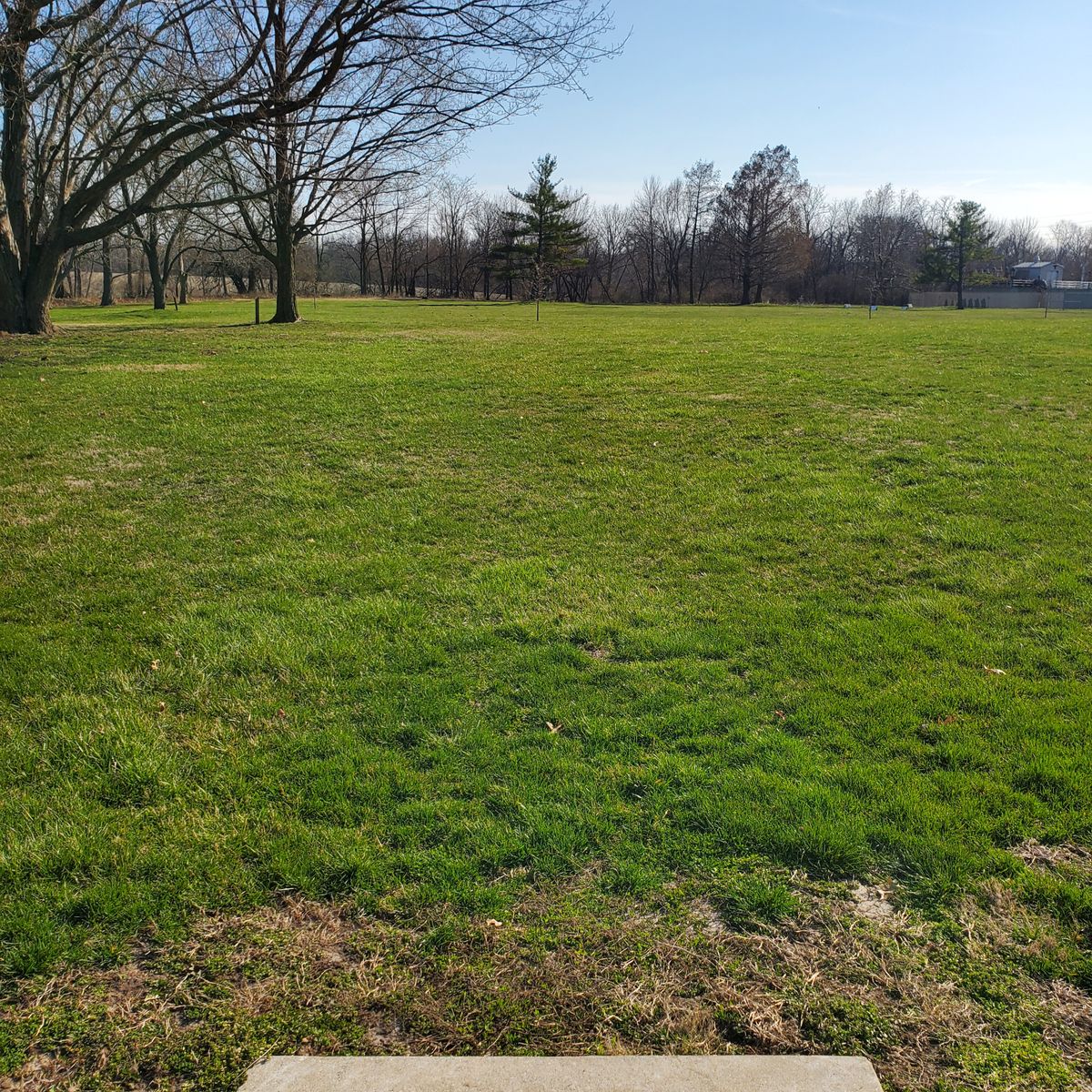 Hole 4 T