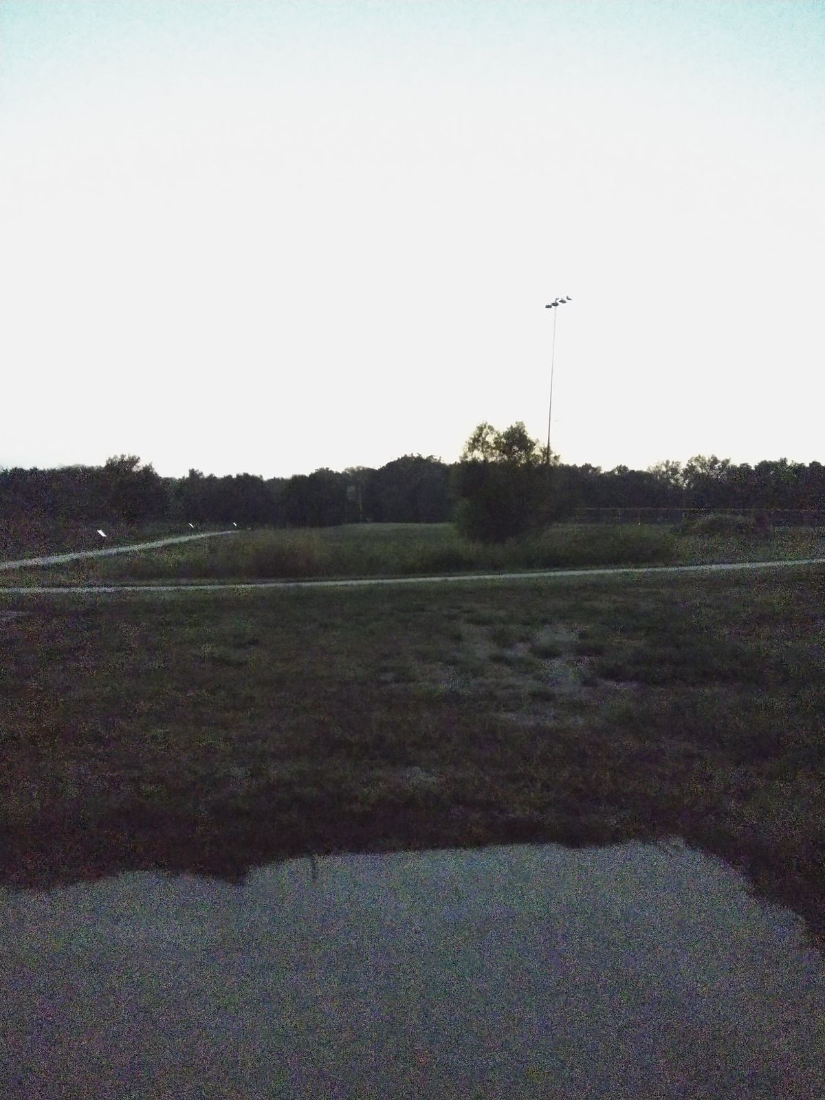 Tee Pads is near the table again and the basket is shared with the 9th hole