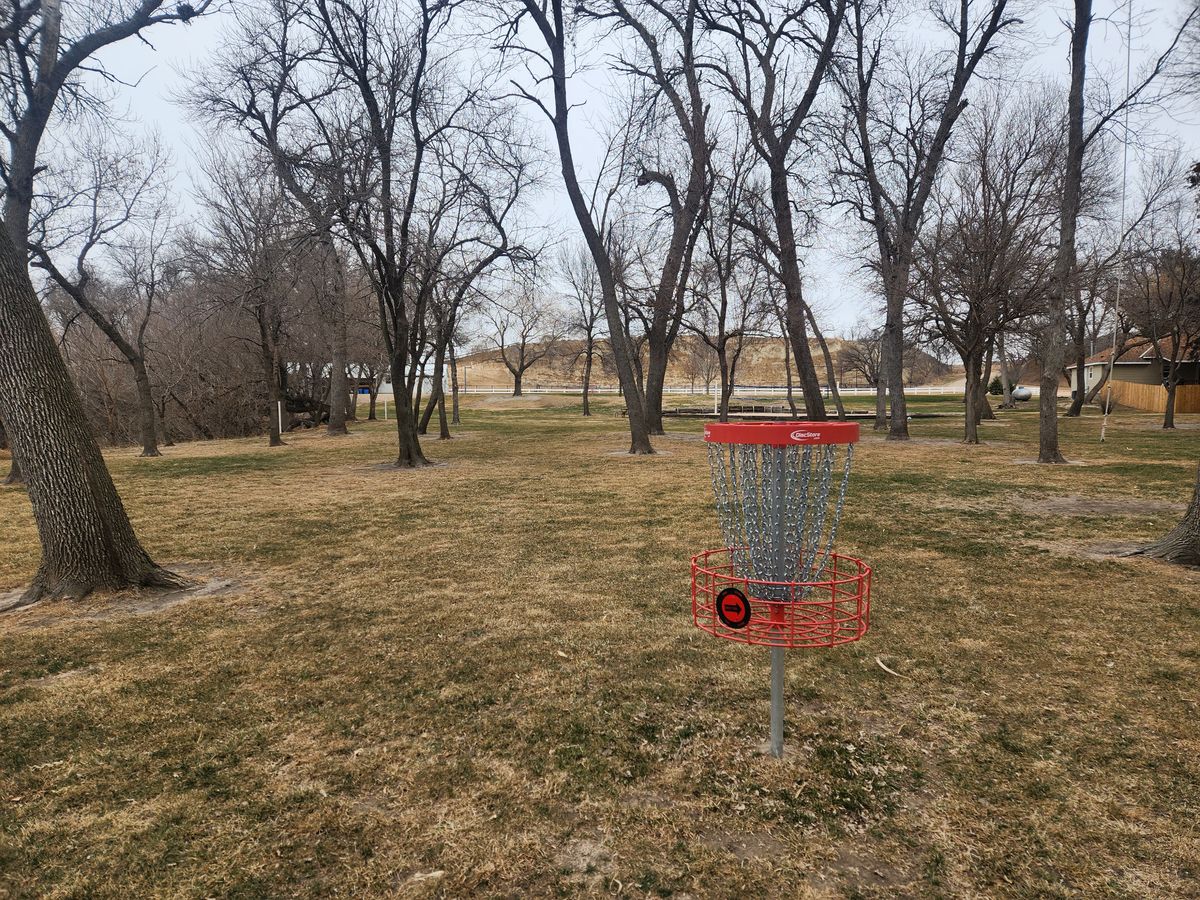 Hole 2 Basket looking back to the Tee