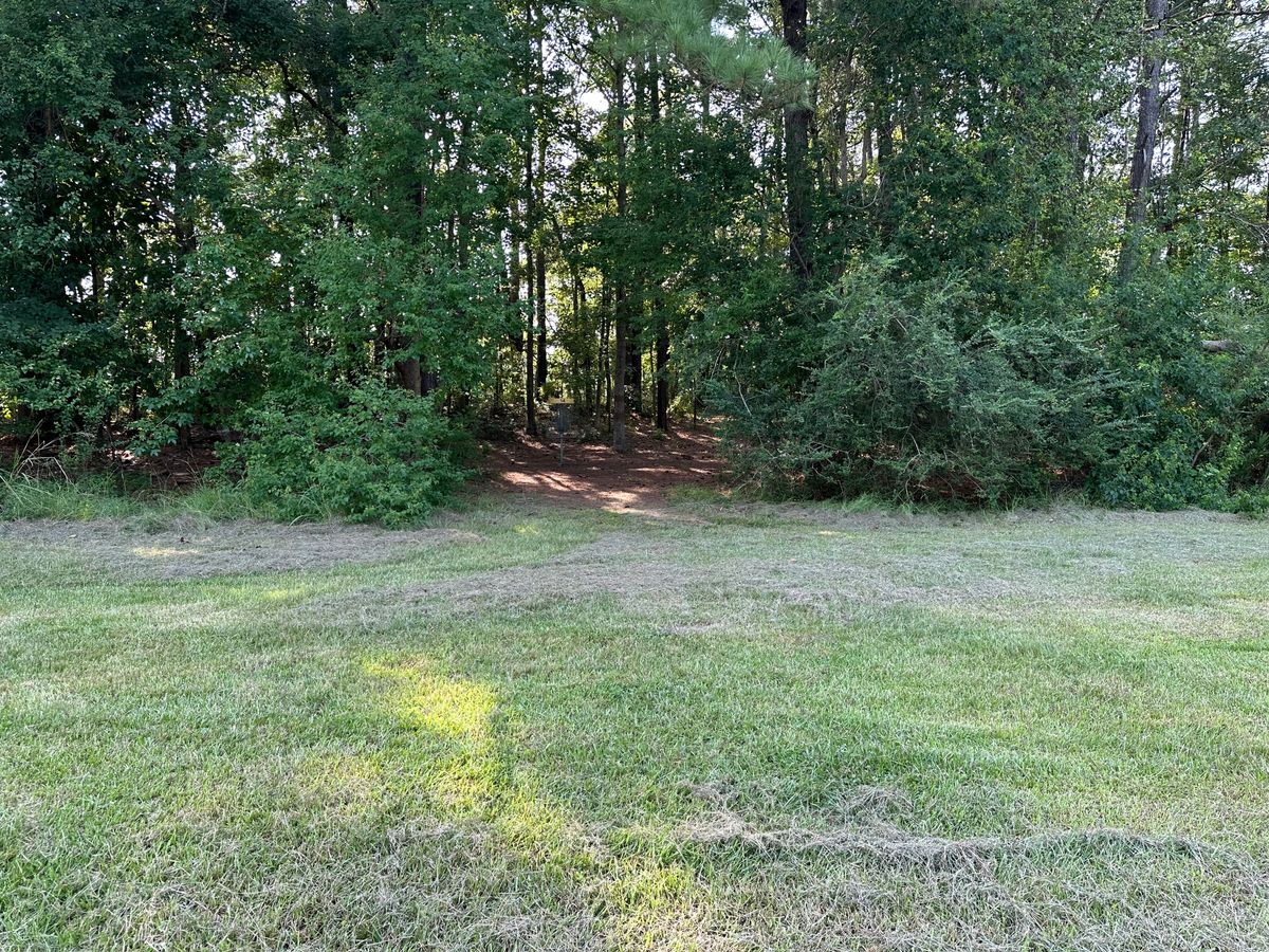 Hole 14 Approach