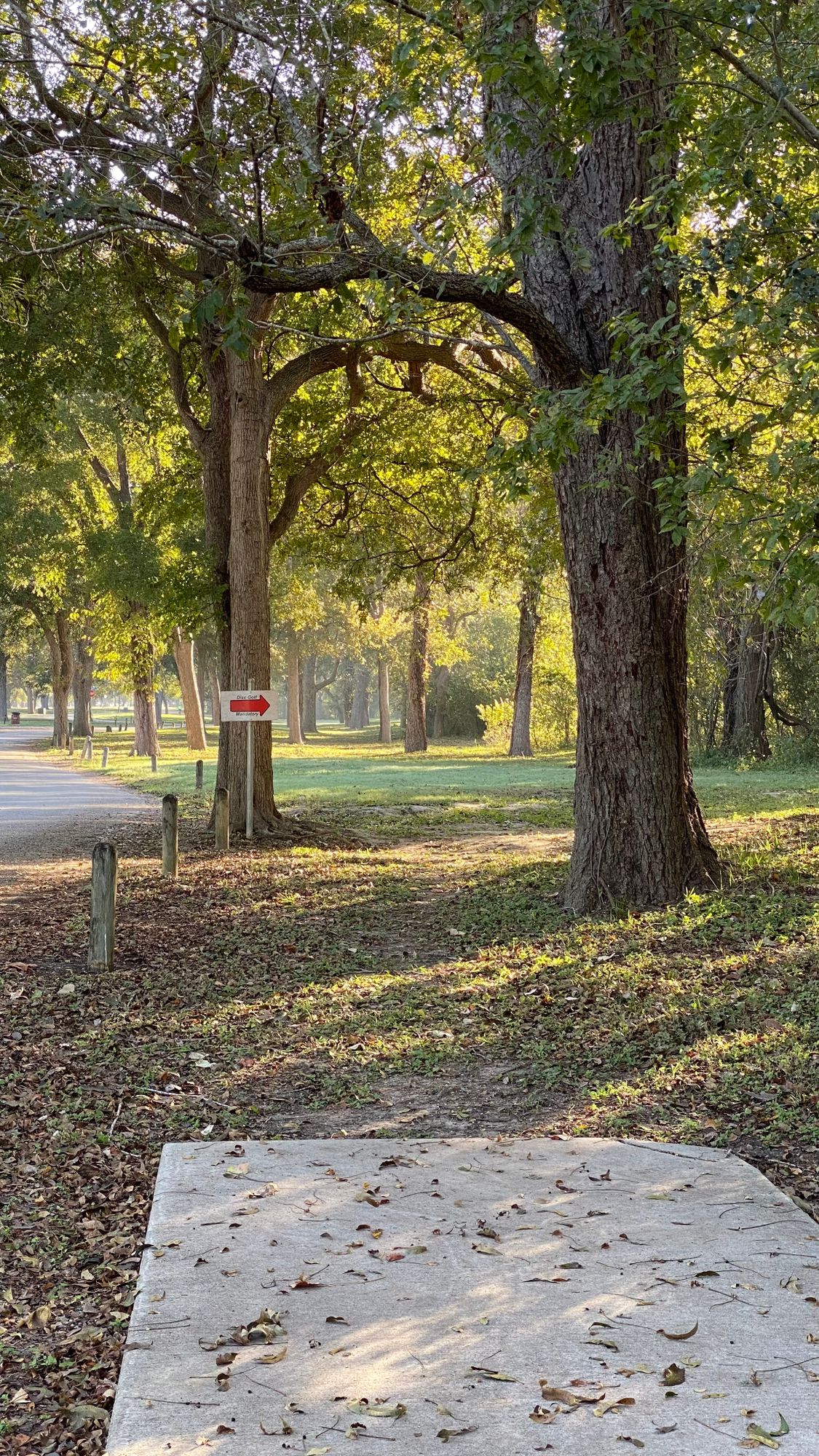 Tee pad of hole 7