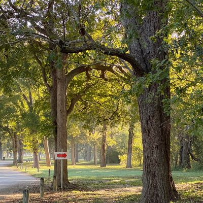 Tee pad of hole 7