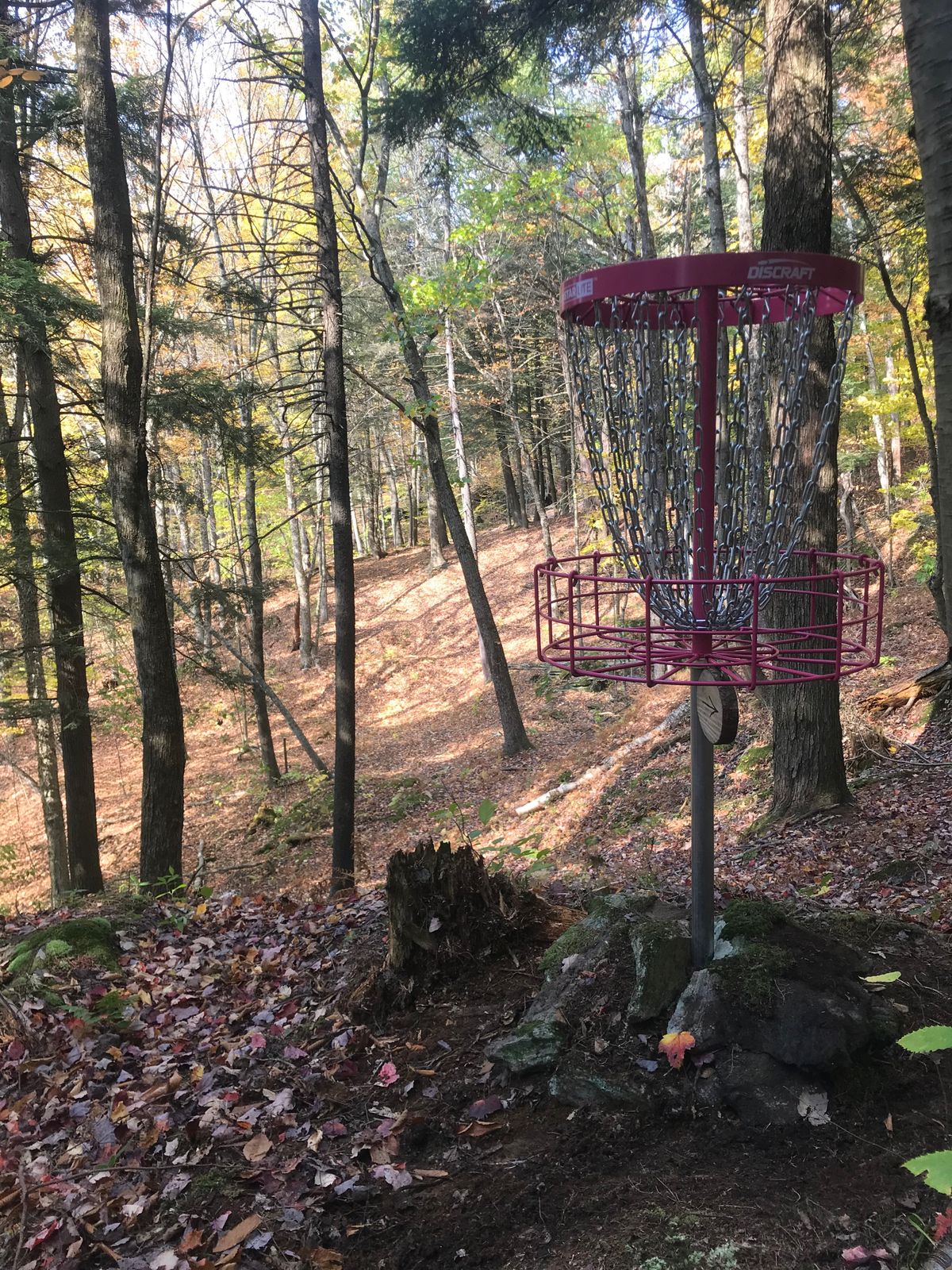 Hole 16’s basket.