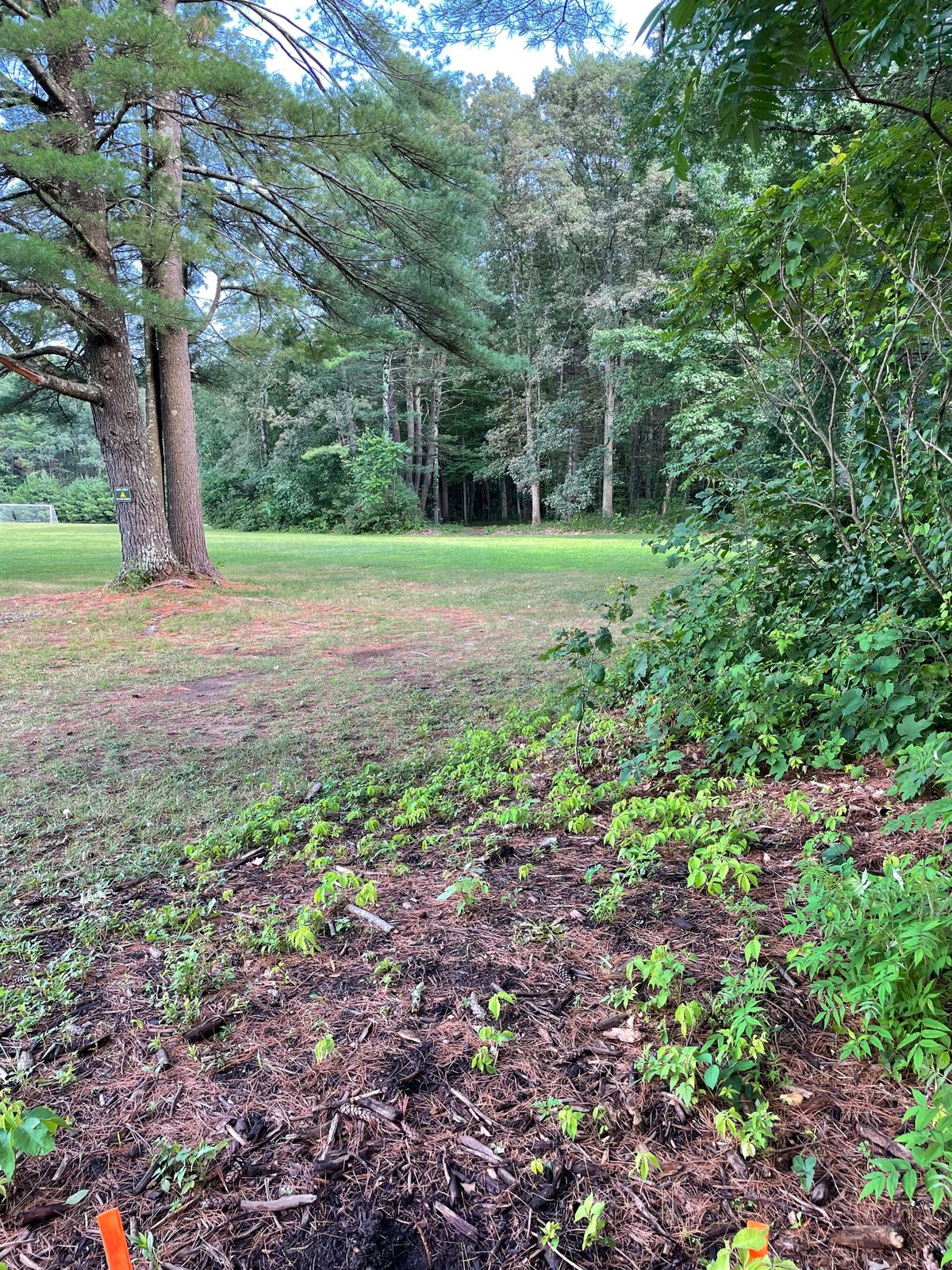 Hole 2 tee