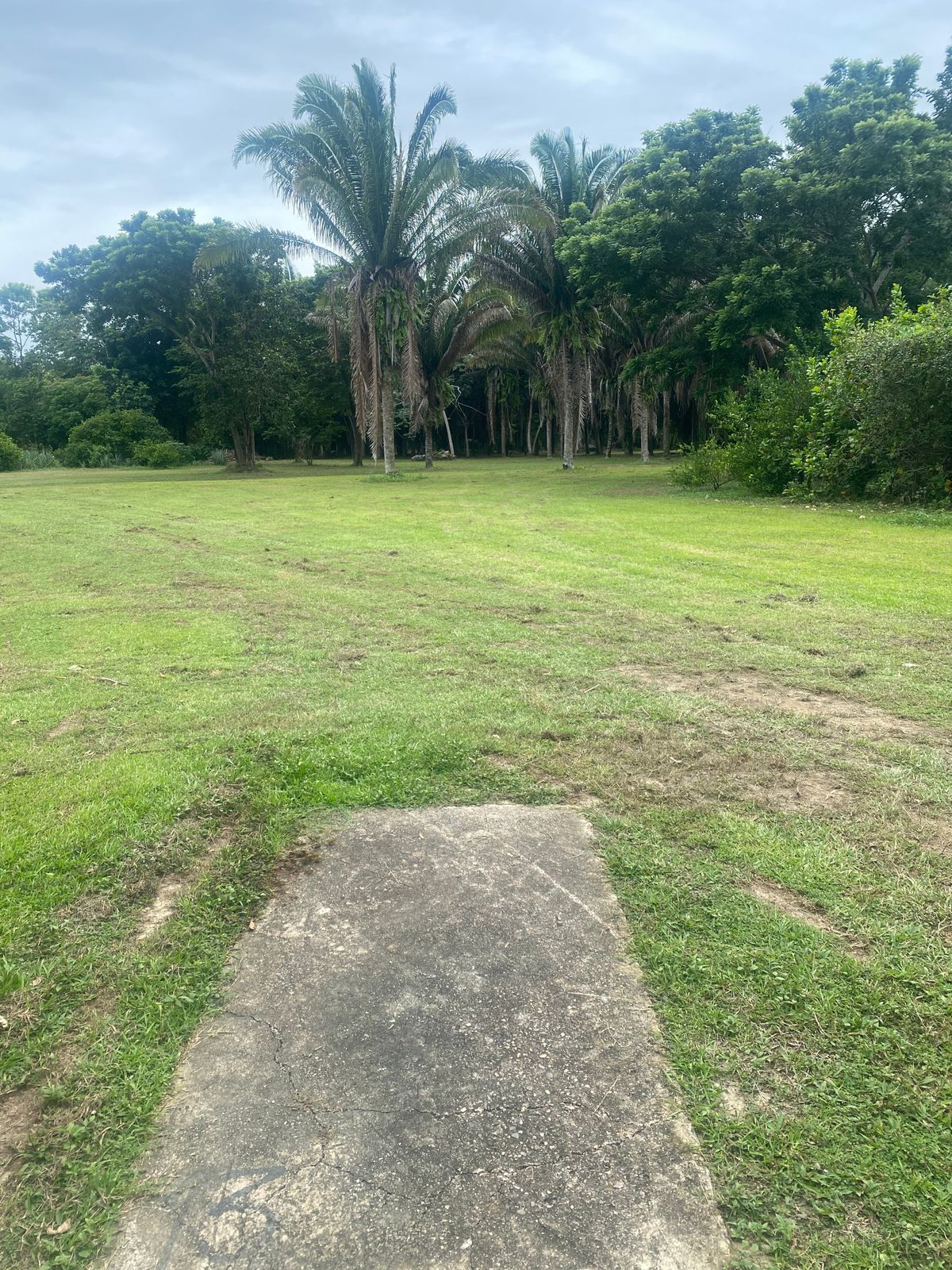 Hole 13