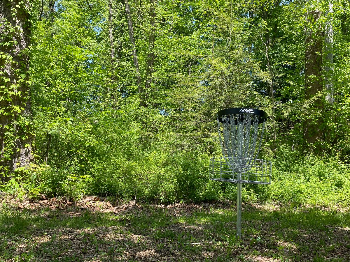 Hole 9 Basket