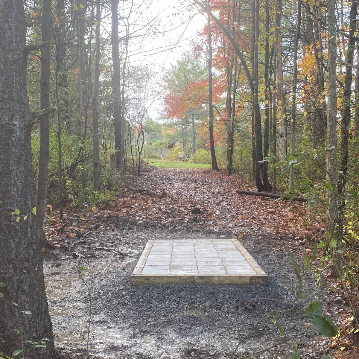 3rd Tee ( Blue )