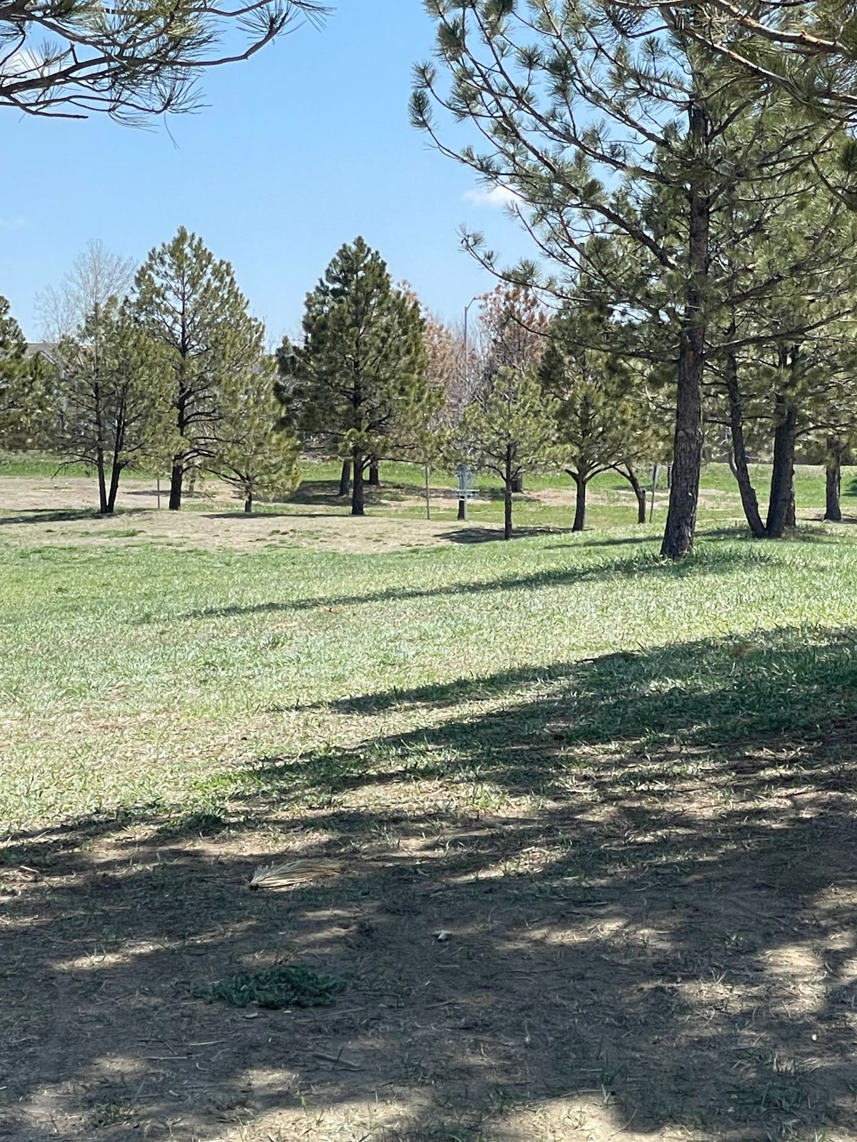 #9 fairway / basket