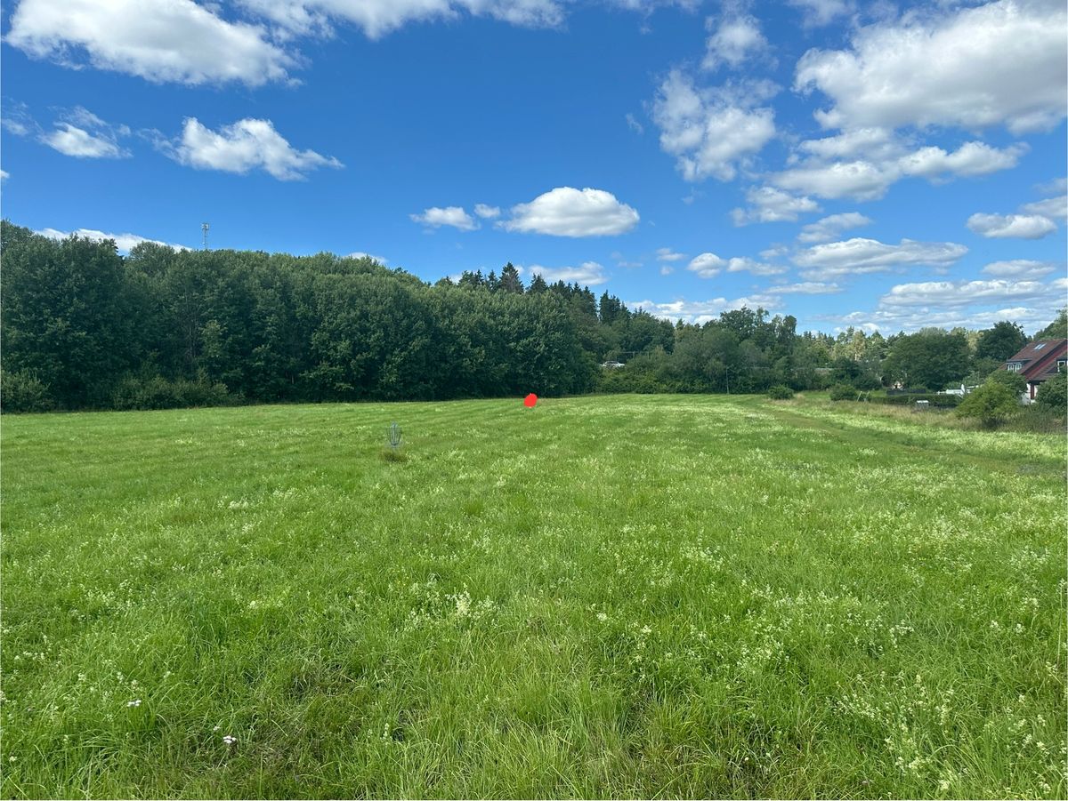 Basket hole 6 marked in red.