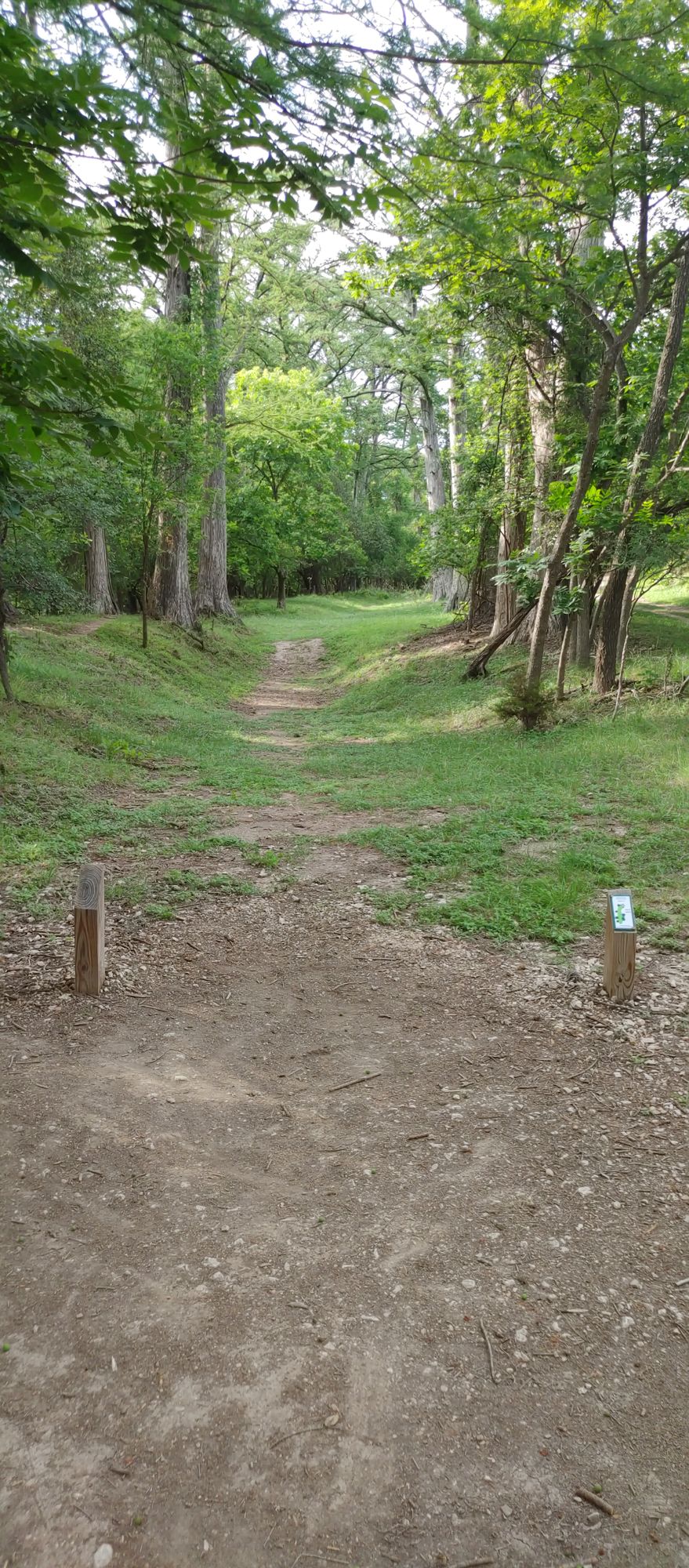 Hole 7