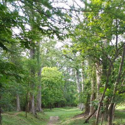 Hole 7