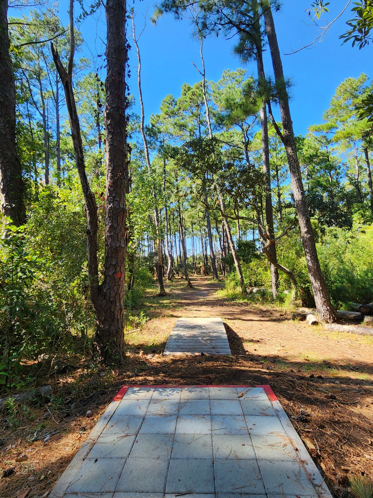 Hole 2 Red Tee