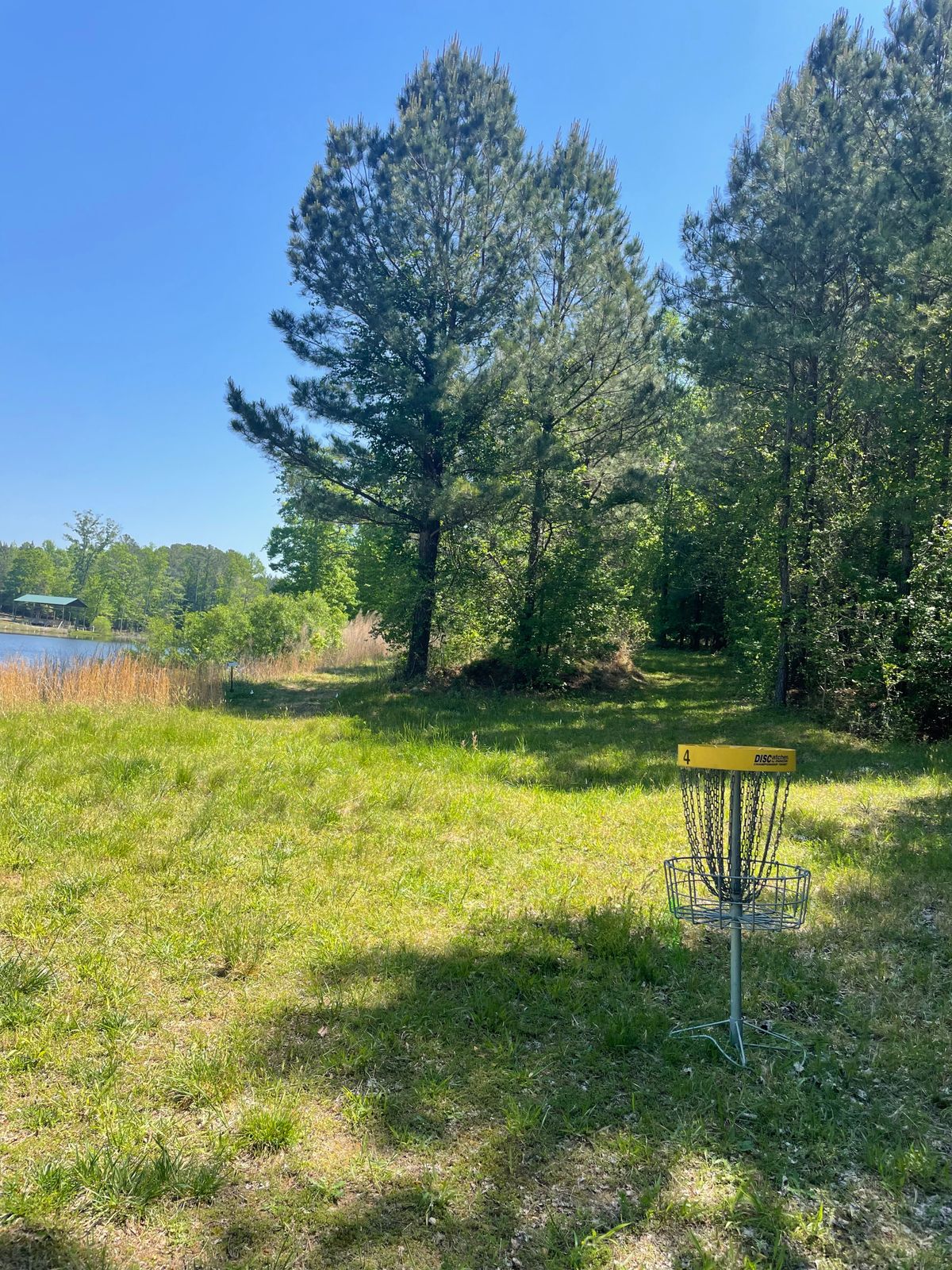 Hole 4 basket, looking toward hole 5 tee box on the left.