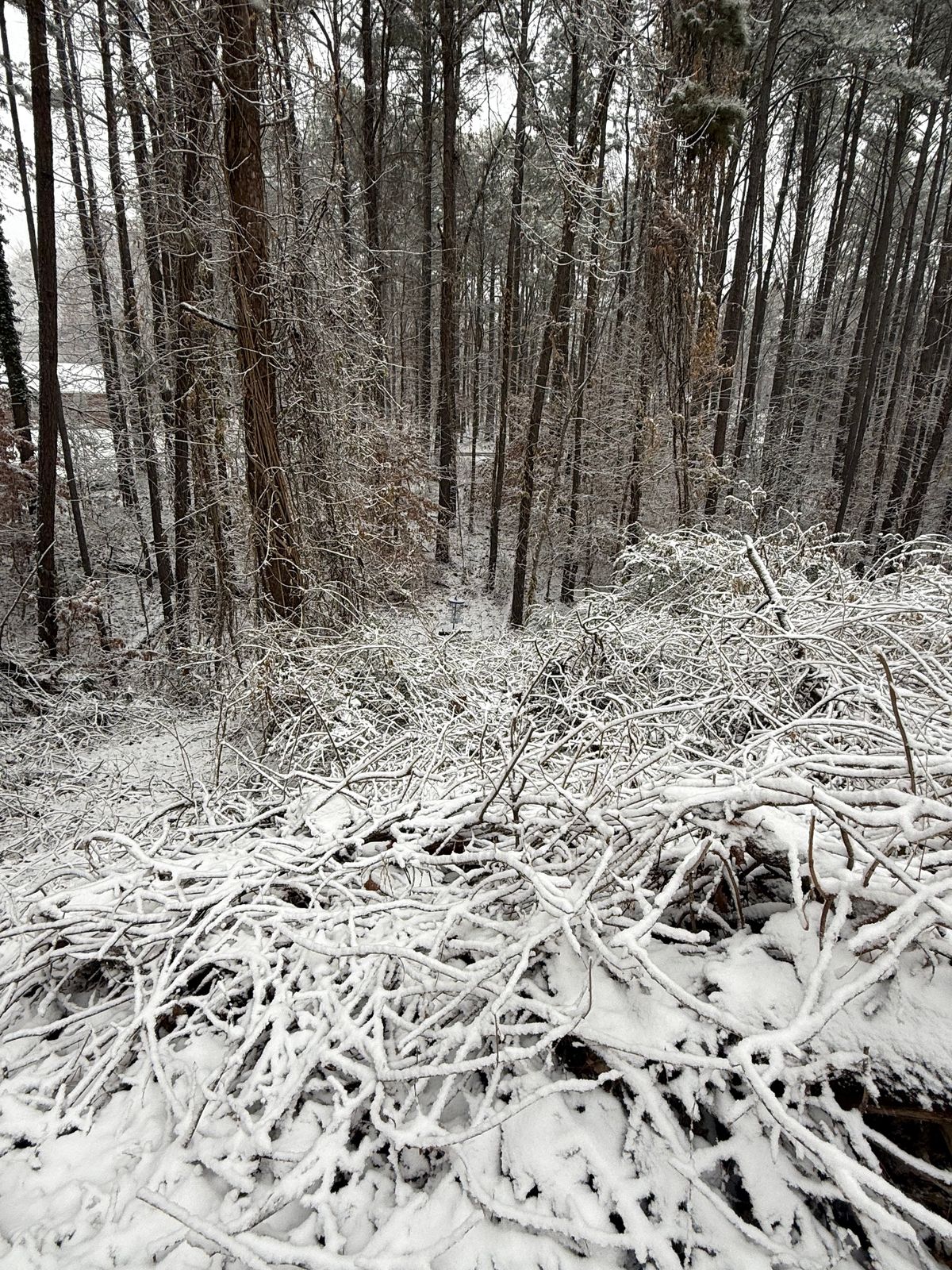 Hole 6 (2026 layout)