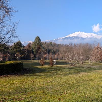 A beautiful winter day throwing discs 🙂🥏