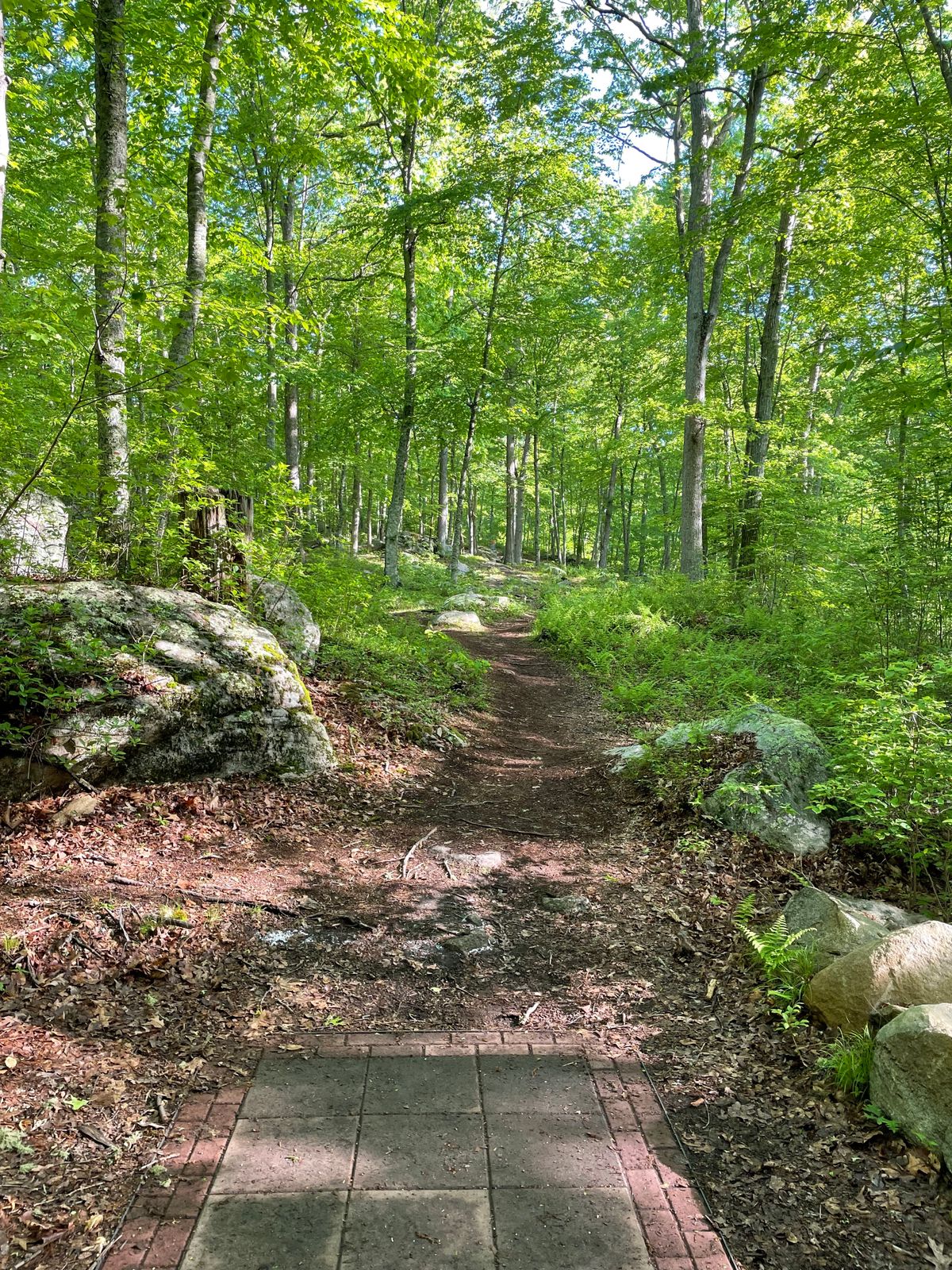 Hole 1
