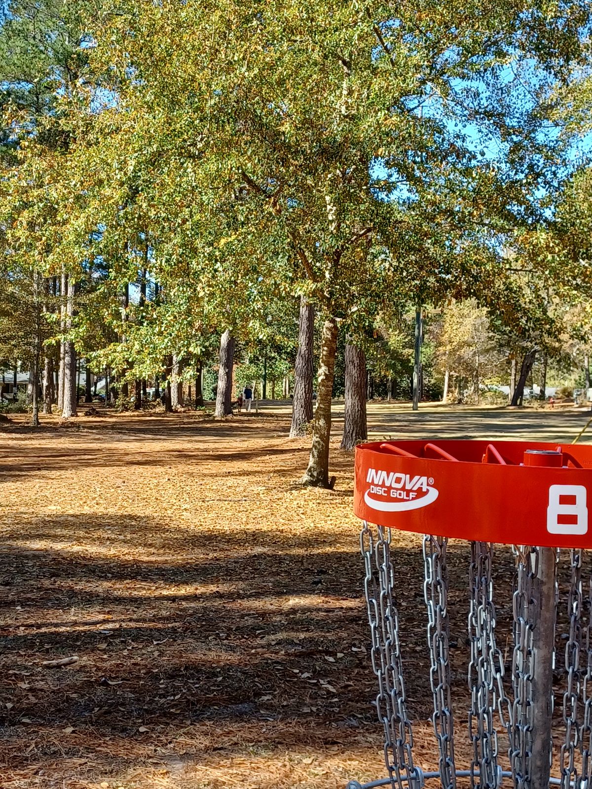 View behind the target. #8 is the longest hole on the course (300')