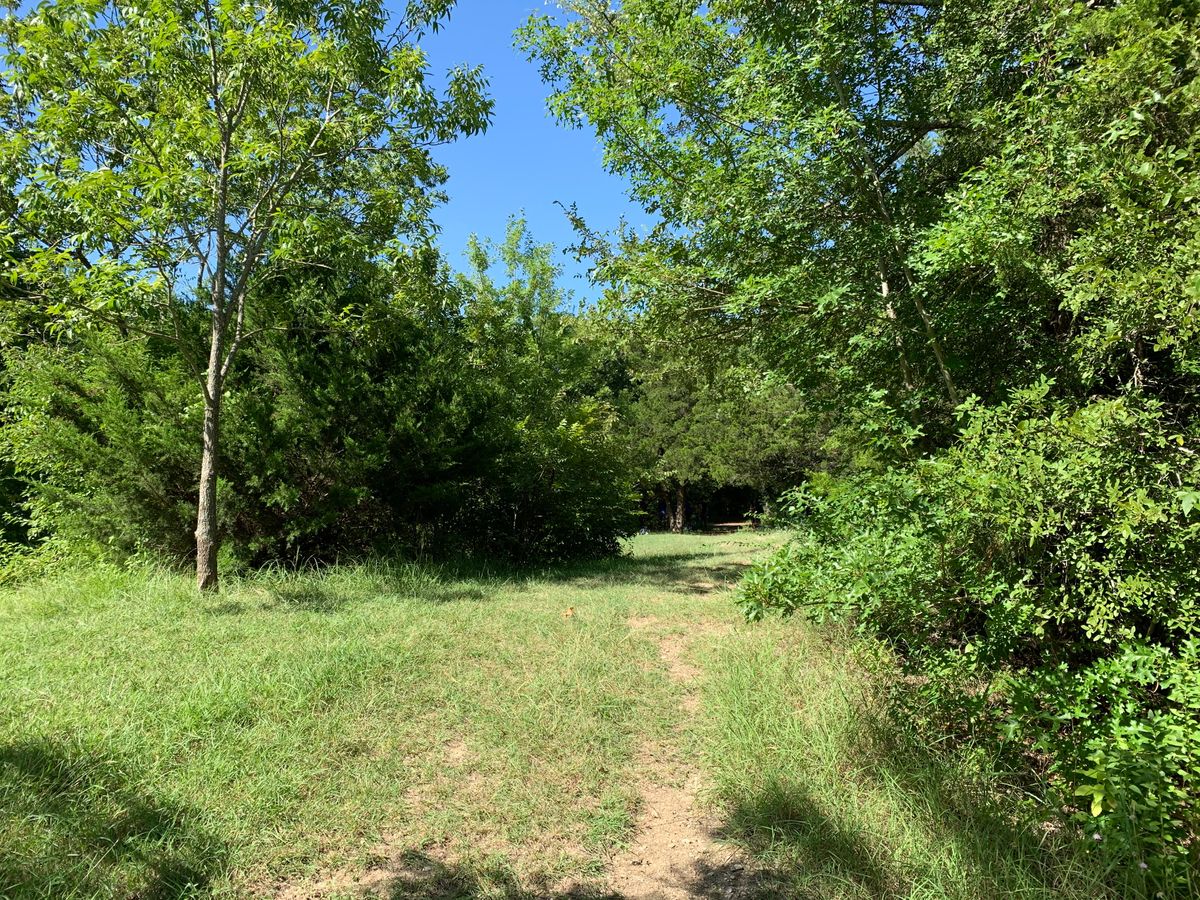 10 standing in fairway at apex of near 90-degree turn, basket tucked under trees straight away