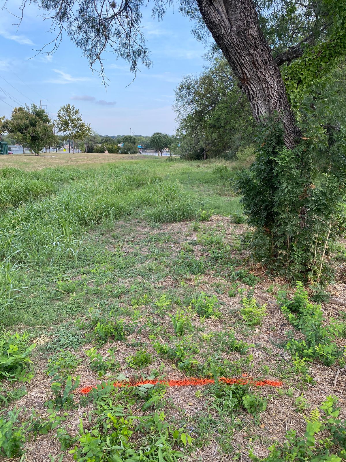 Hole 2 tee box.