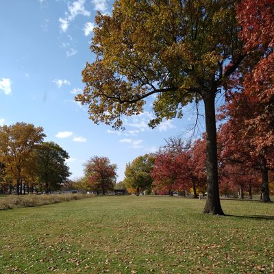 Hole 16 from the short tee