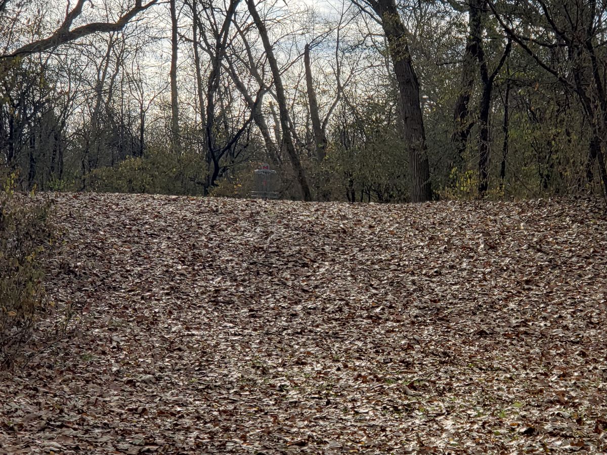 Hole 14