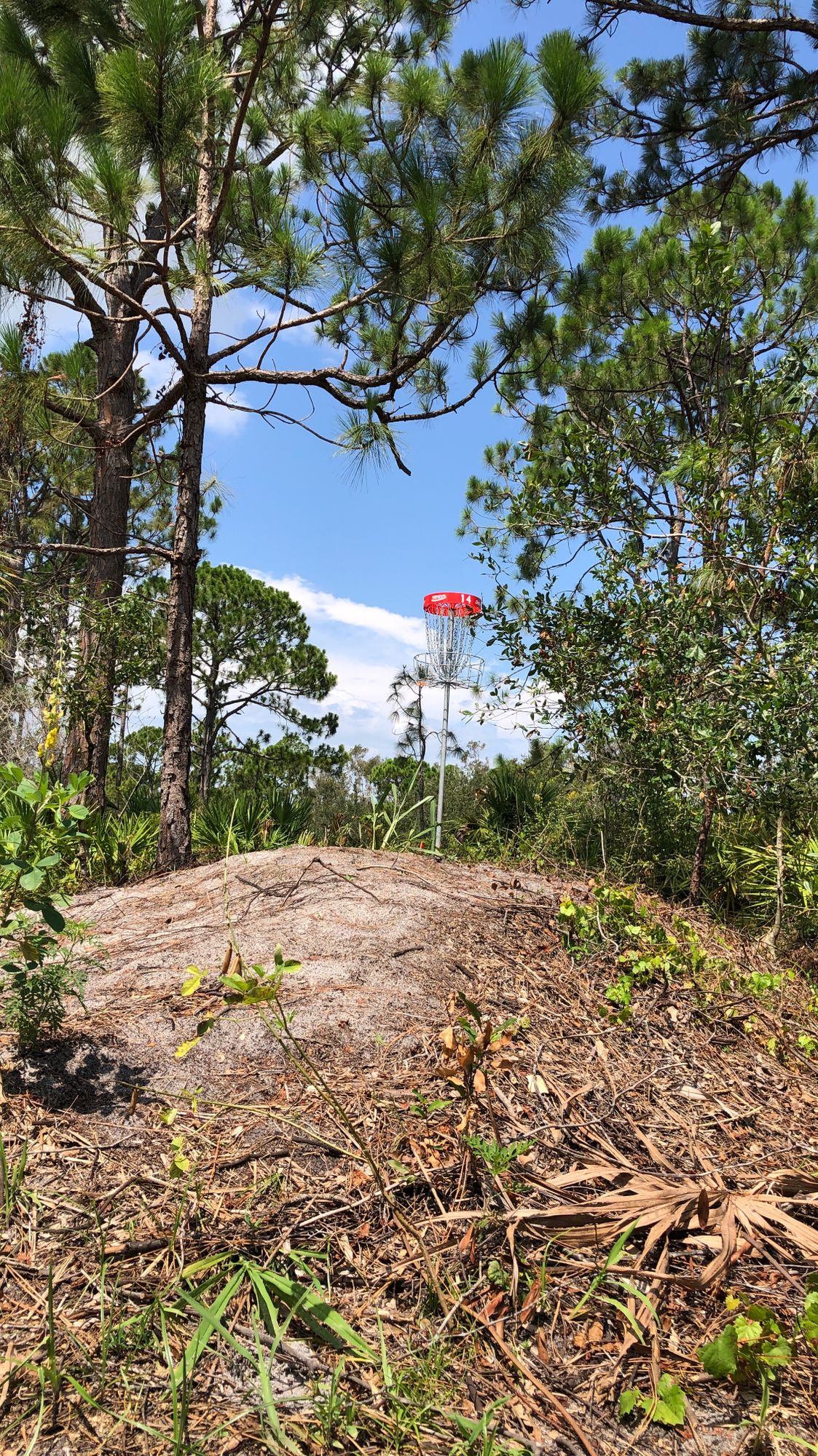 Hole #14 basket
