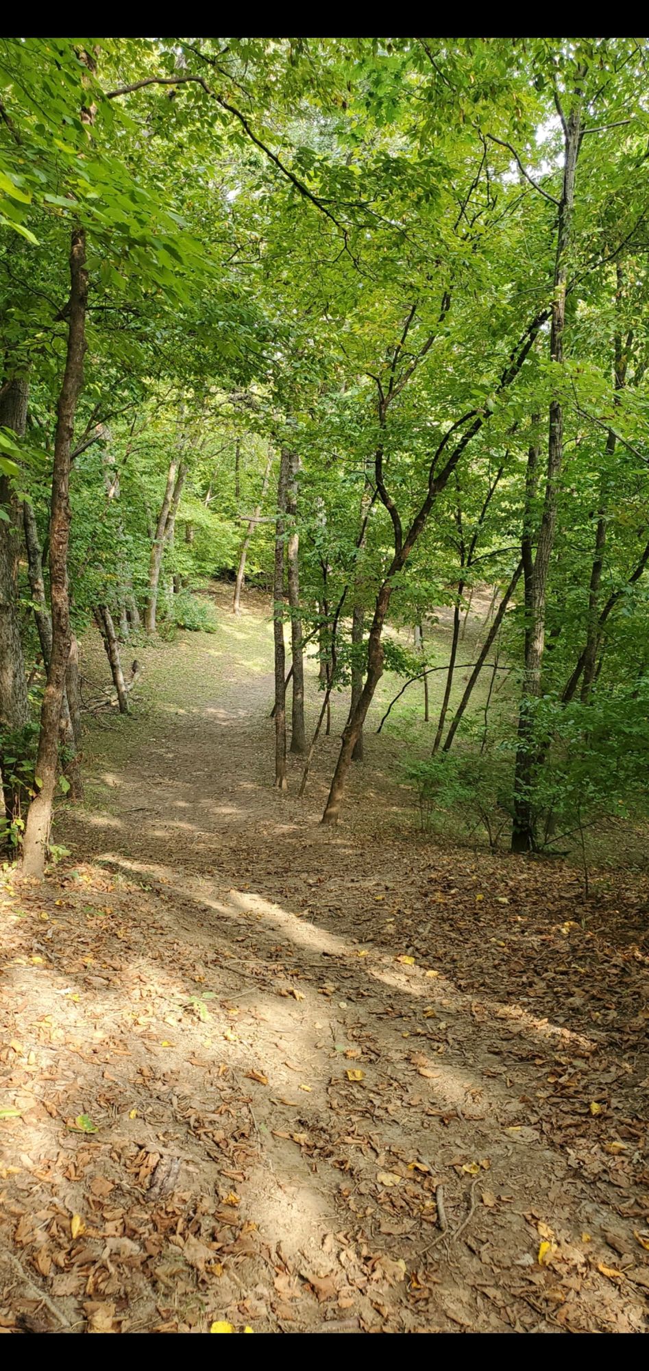 Hole 11