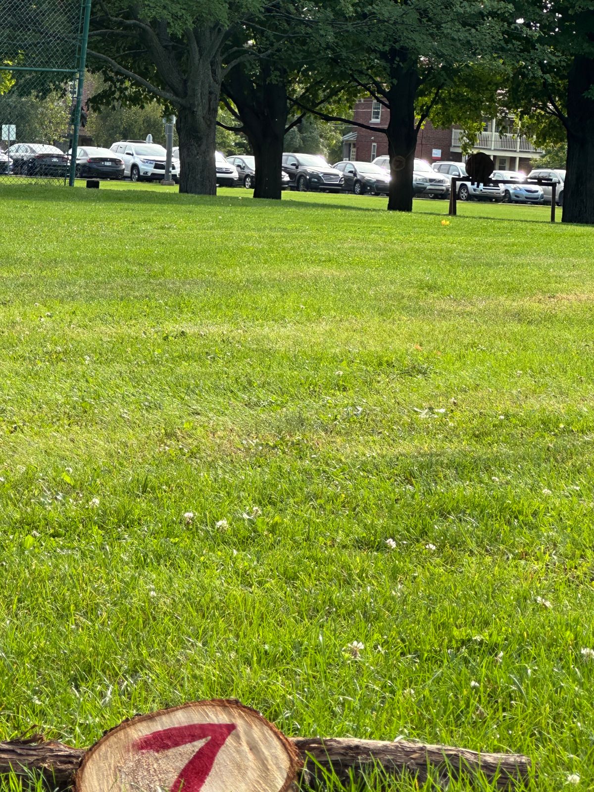 Tee and fairway of hole 7