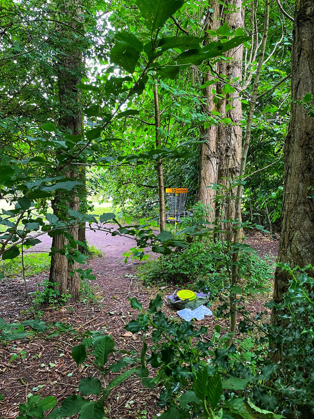 The 10th basket is tucked in to the tree line below the poplars. 