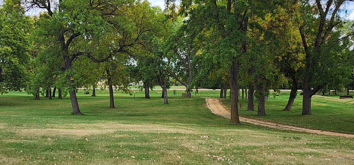 Course views