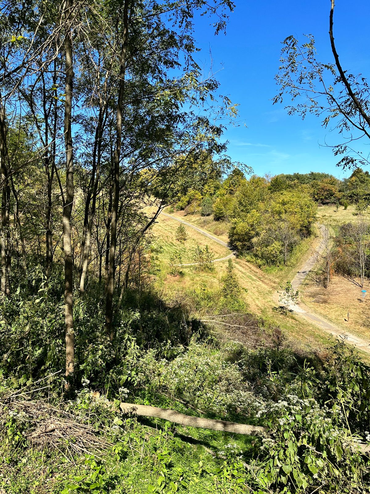 Hole 6 tee