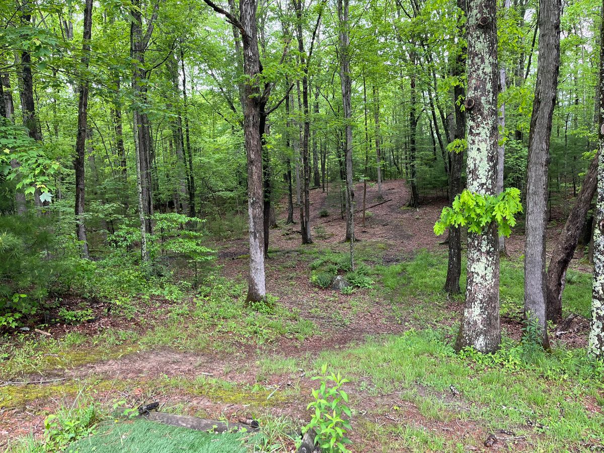 Hole 8 from Red Tee