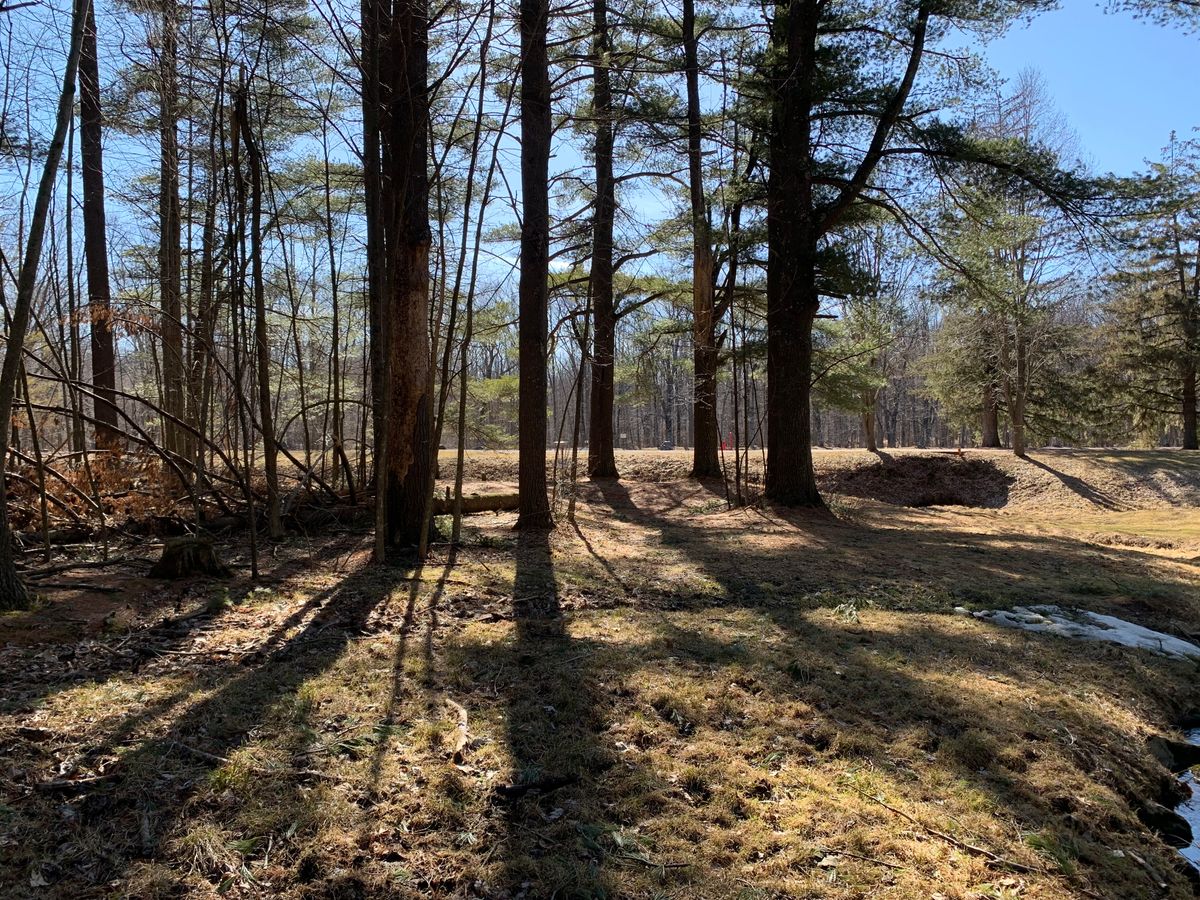 Hole 12 approach