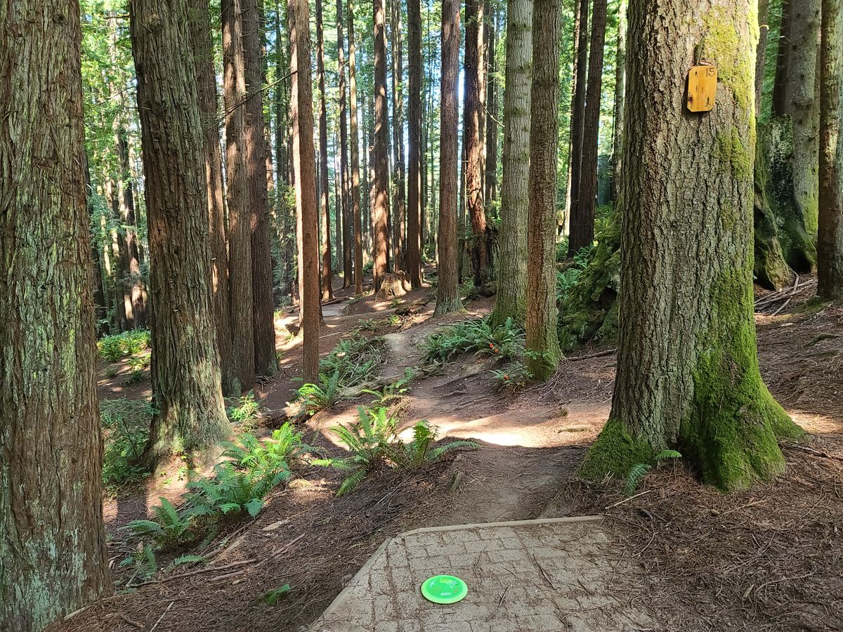 Hole 15