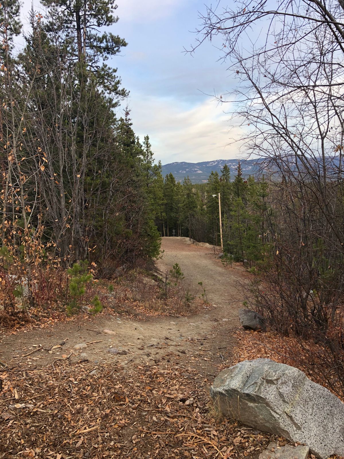 Hole 7 Reds