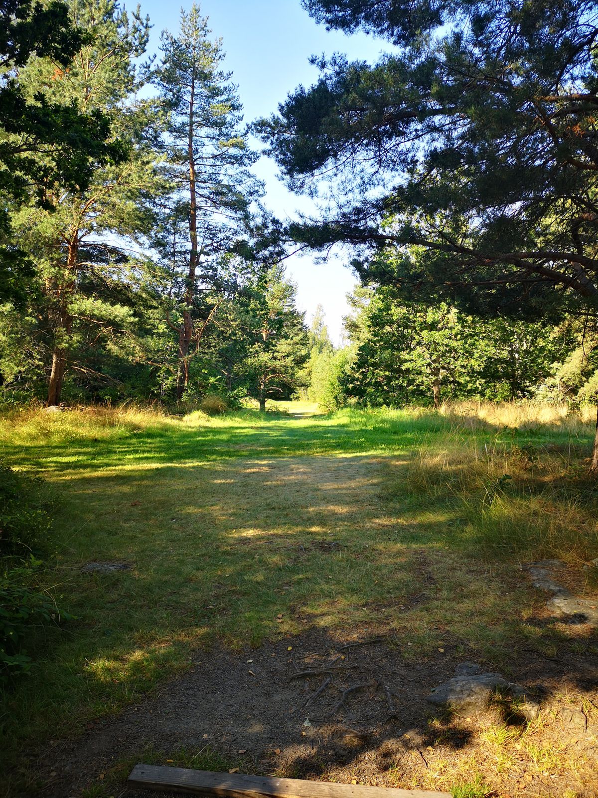 Tee 15