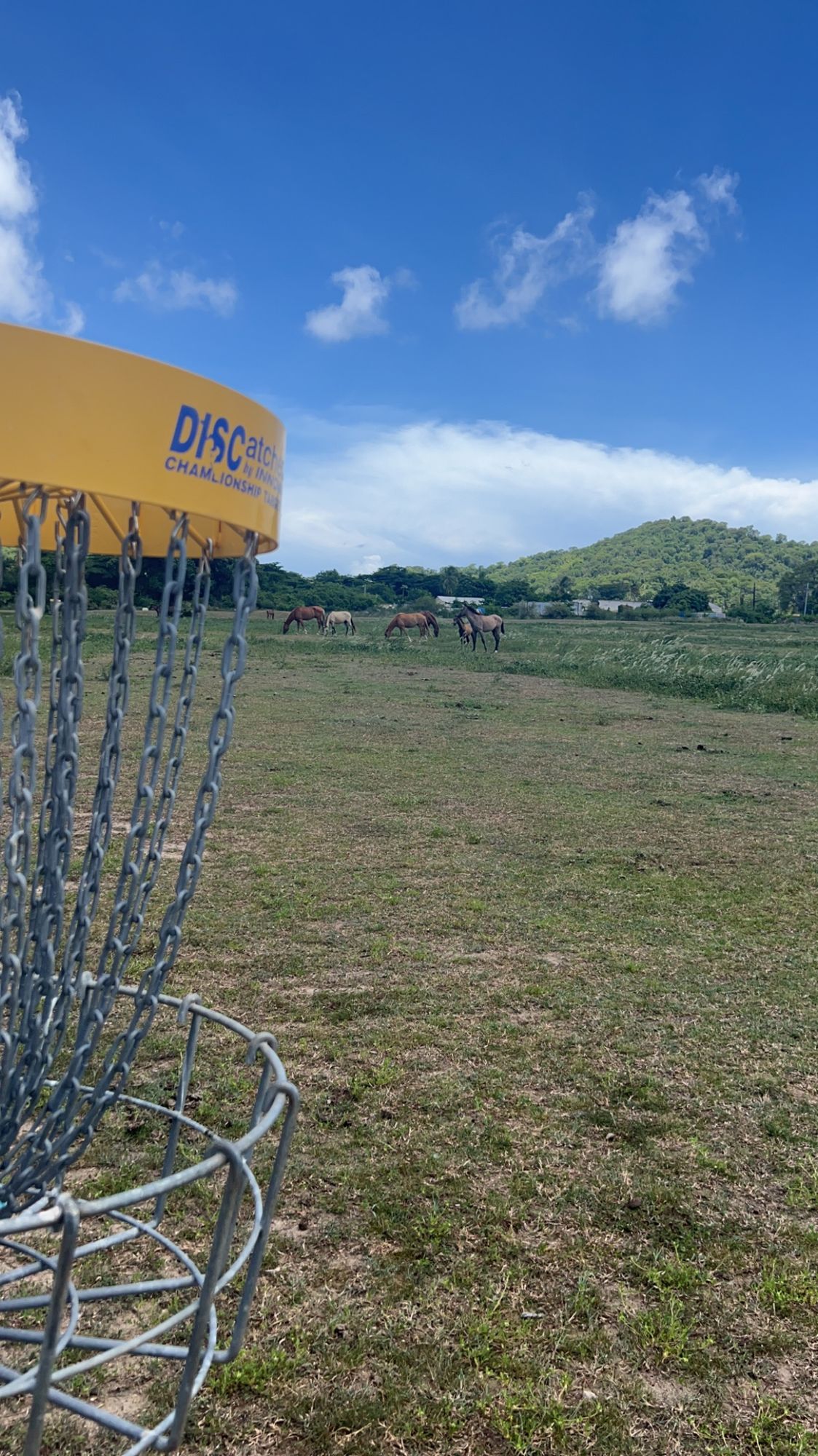 Great course. Well kept. Very little traffic other than the horses. Bring mangos to share with them!