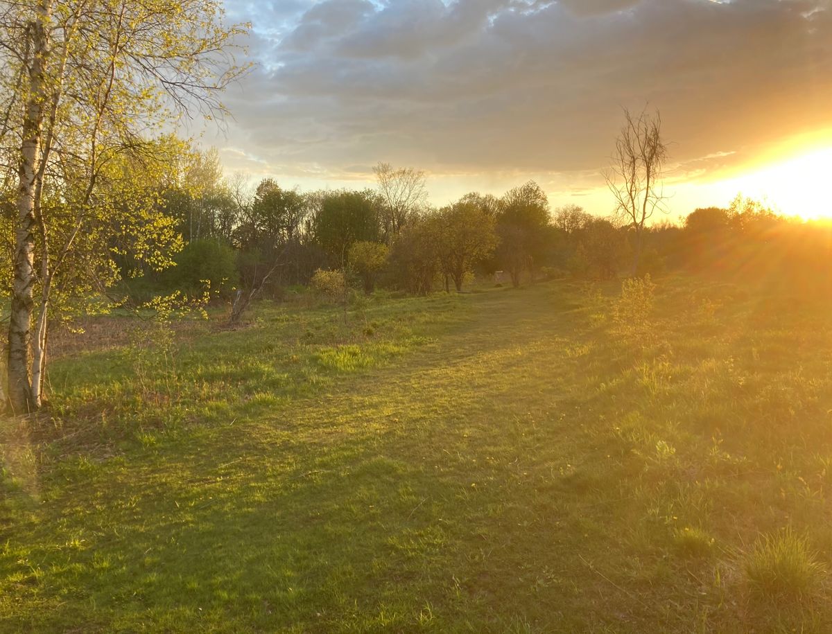 Hole 9 Sunset