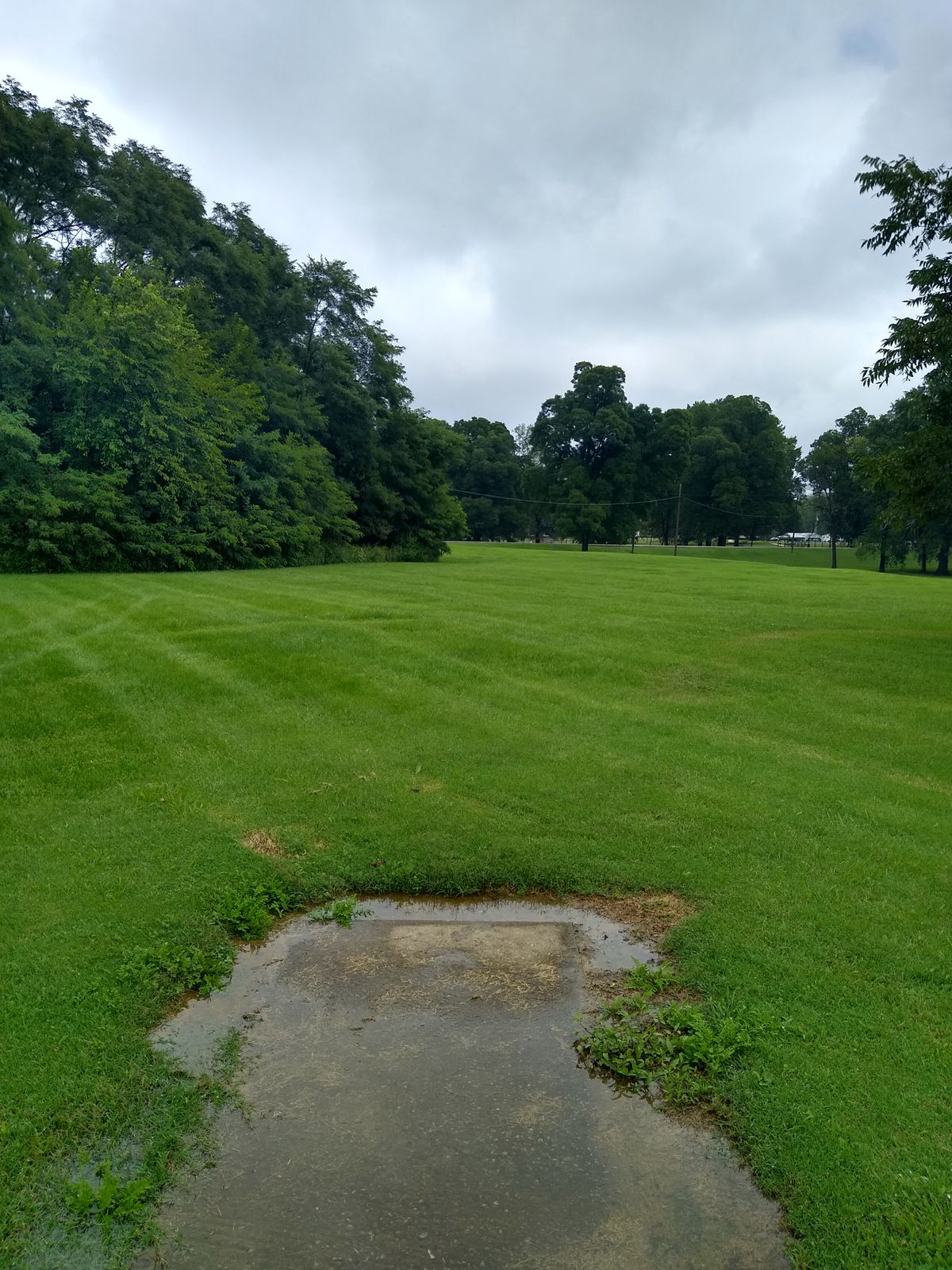 Hole 4 longest hole on course is wide open. Avoid the thick brush to left side