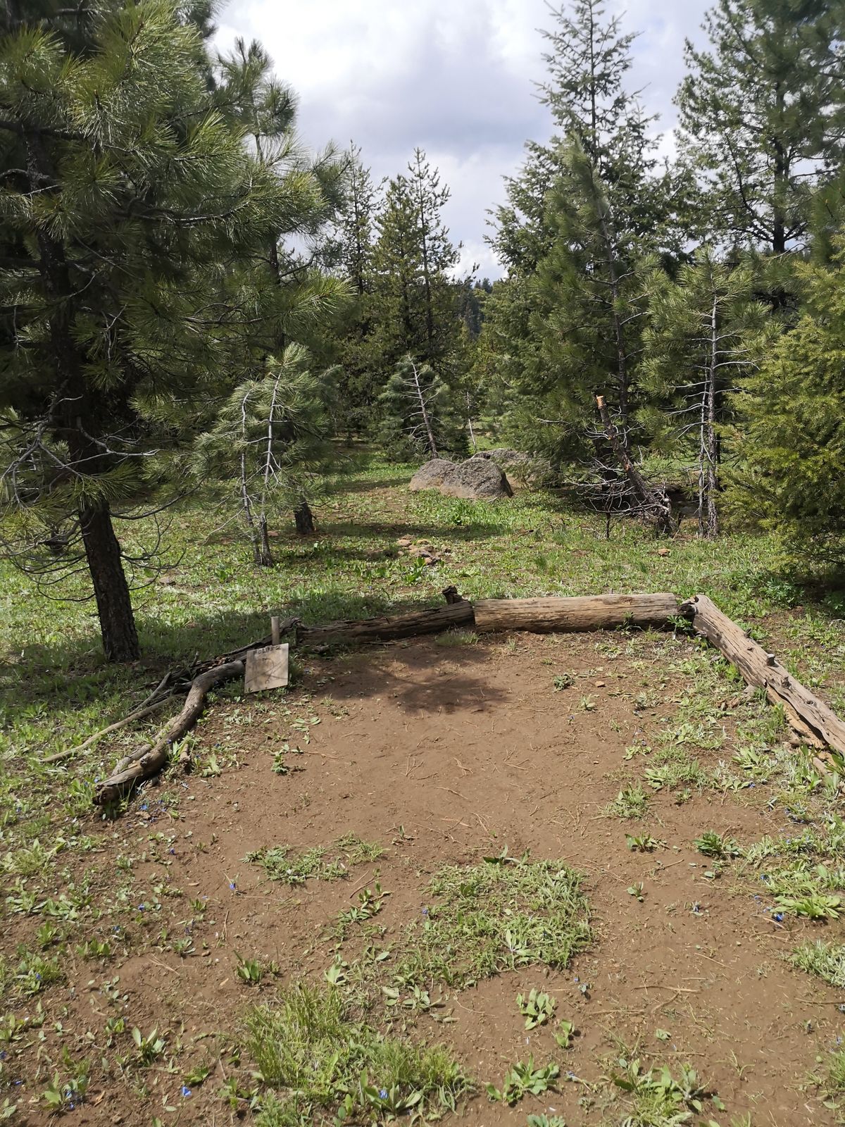 Hole 1