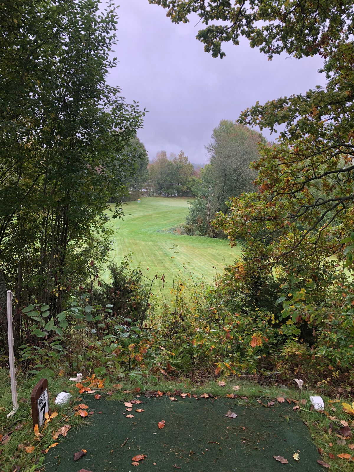 Hole 7