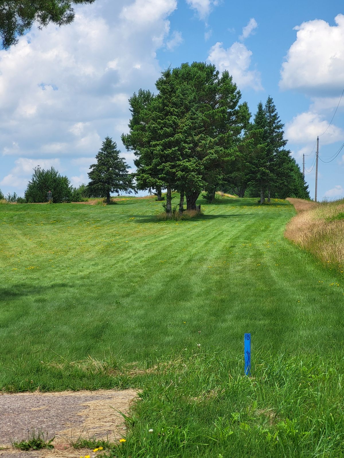 Hole 10 tee, Jul 2024