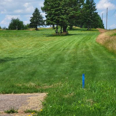 Hole 10 tee, Jul 2024