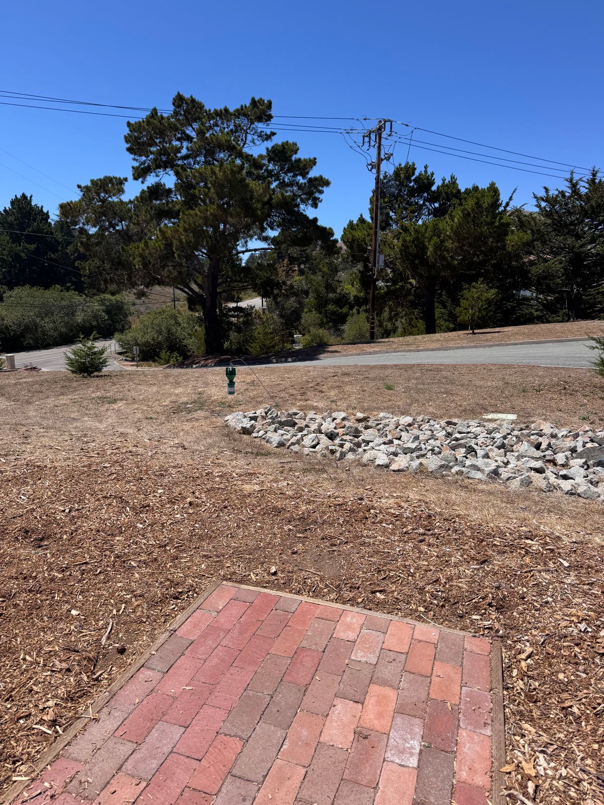 Hole 7 (8/4/25)