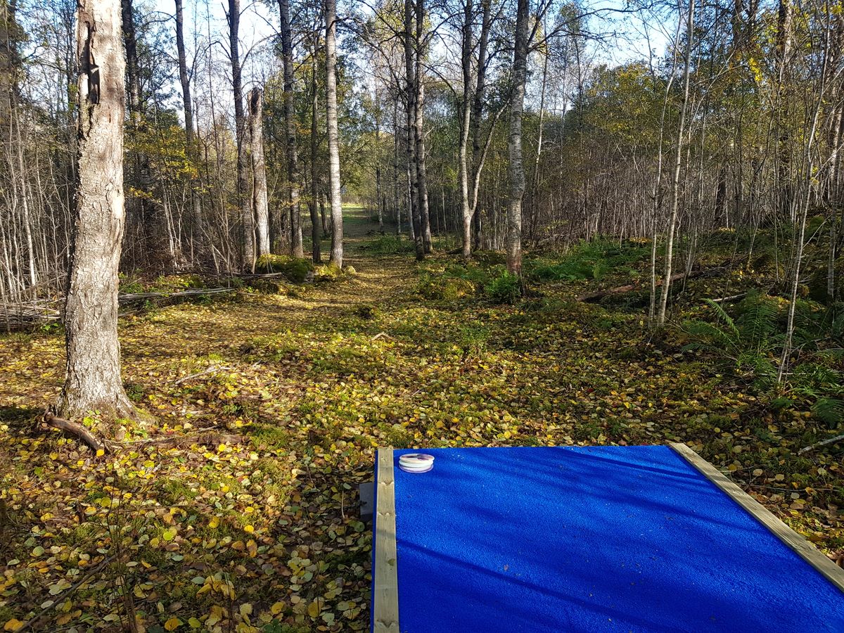 Hål 14, par 3.